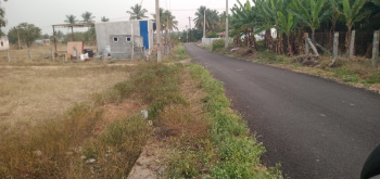 Agricultural/Farm Land for Sale in Athipalayam, Coimbatore (40 Cent)