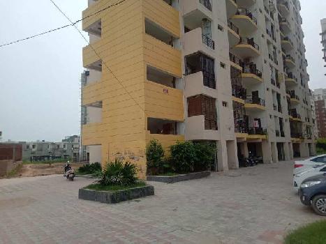 1 BHK Flats & Apartments for Sale in Sector 125, Mohali (700 Sq.ft.)