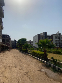 Residential Plot for Sale in Sector 123, Mohali (250 Sq. Yards)