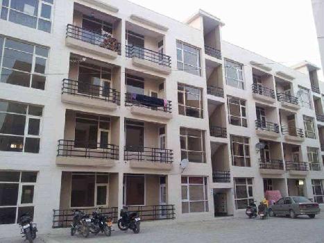 3 BHK Flats & Apartments for Sale in Sunny Enclave, Mohali (1240 Sq.ft.)