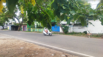 Residential Plot for Sale in Prime Palani Town, Dindigul District, Tamilnadu
