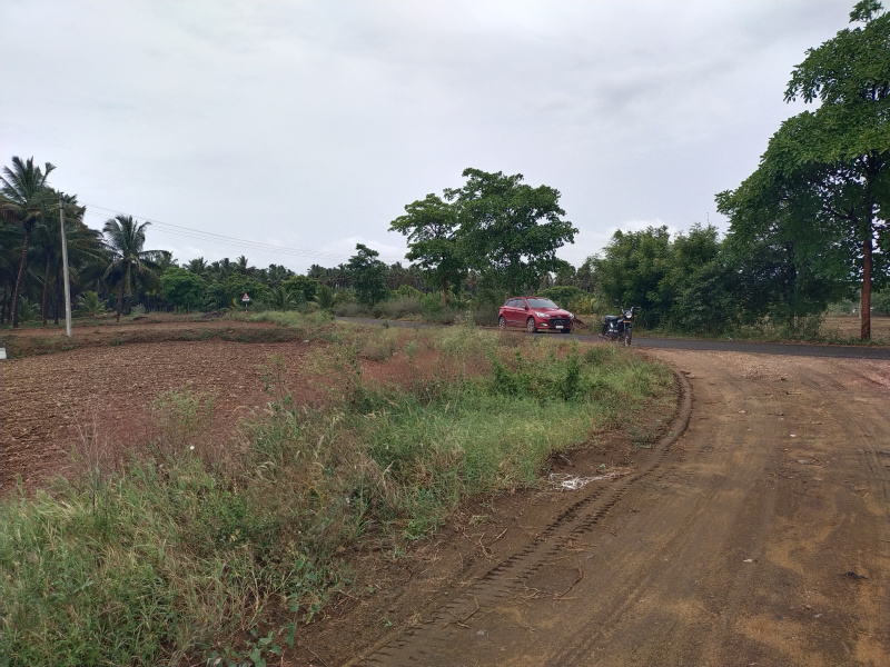 Beautiful dry agri land for sale Vadasithur, good Location for Farming, budget friendly  land