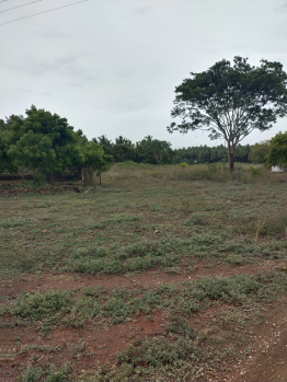 Property for sale in Vadasithur, Coimbatore