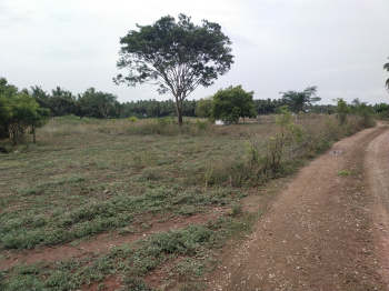 Property for sale in Vadasithur, Coimbatore