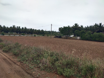 Property for sale in Vadasithur, Coimbatore