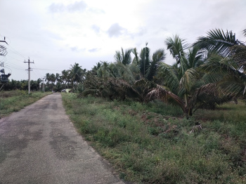 Property for sale in Kinathukadavu, Coimbatore