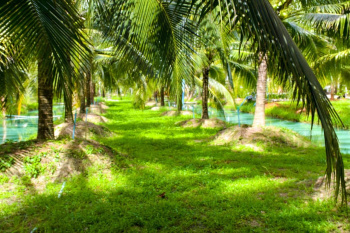 Property for sale in Thondamuthur, Coimbatore