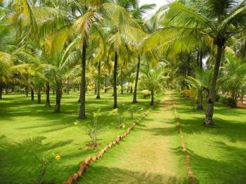 Property for sale in Thondamuthur, Coimbatore