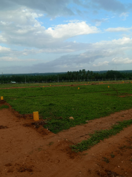 A beautiful site for sale in coimbatore prime Location