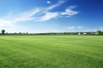 A beautiful north facing land for sale in karamadai  ,rate Slightly Negotiable