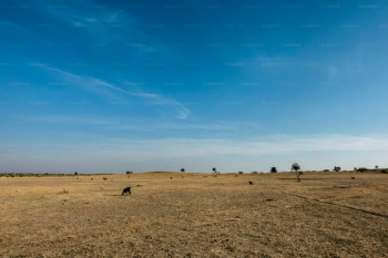 A beautiful land for sale in coimbatore prime Location