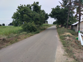 A beautiful farm land for sale in erode district rate Slightly Negotiable