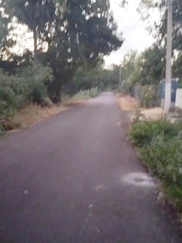 A Hot Cake of 3.25 Acres Dry Agri Layout Purpose Land for Sale In Erode, Tamilnadu