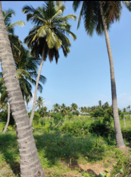 Property for sale in Puliampatti, Coimbatore
