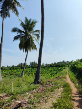 Property for sale in Puliampatti, Coimbatore