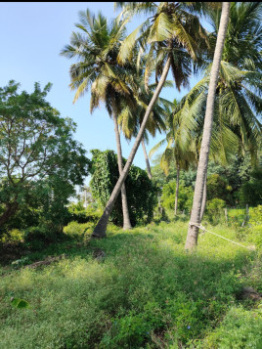 Property for sale in Puliampatti, Coimbatore