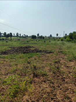 Property for sale in Puliampatti, Coimbatore