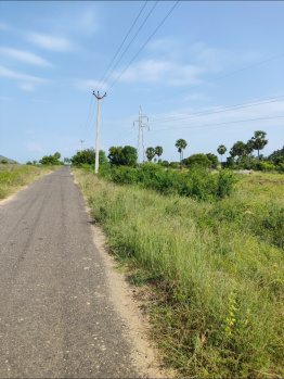 An Excellent Investment Opportunity of 1.55 Acres Dry Agri Land for Sale in Karamadai, Coimbatore
