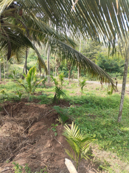 Property for sale in Agali, Palakkad