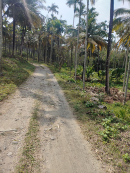Property for sale in Agali, Palakkad