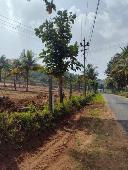 An Exclusive Investment Opportunity in Prime Agali Location Palakkad Kerala