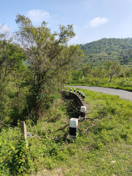 A Premium Beautiful Agricultural Property of 4.5 Acres for Sale in Prime Kottathara, Near Anaikatti, Palakkad