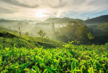 Property for sale in Udhagamandalam, Nilgiris