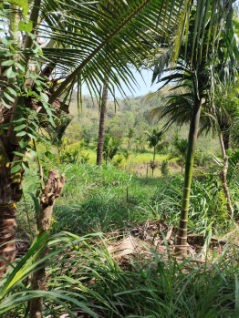 Property for sale in Alandurai, Coimbatore