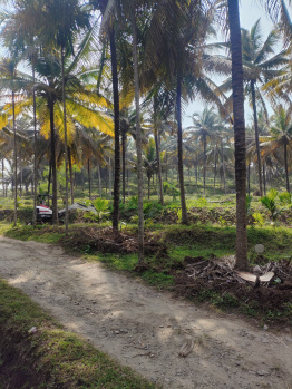 A BEAUTIFUL AGRICULTURAL PROPERTY OF 4 ACRES WITH COCONUT PLANTATION IS FOR SALE IN ALANDURAI, COIMBATORE