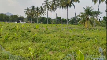 Property for sale in Sirumugai, Coimbatore