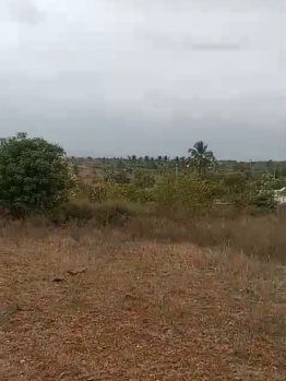 Property for sale in Sirumugai, Coimbatore