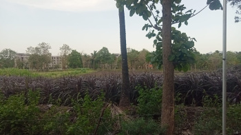 Property for sale in Alandurai, Coimbatore