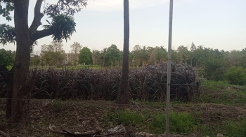 Property for sale in Alandurai, Coimbatore