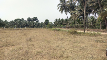 An Excellent Investment Opportunity of 3 Acres of DRY AGRI LAND in Prime Vadakkipalayam for Sale Pollachi, Coimbatore