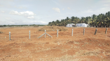 An Excellent Layout Purpose Land For Sale In Neelambur, Coimbatore Near Karthipuram