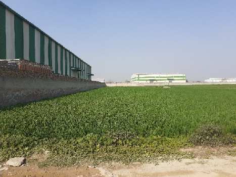 1500 Sq. Yards Industrial Land / Plot for Sale in Jhundpur, Sonipat