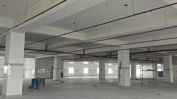 Freehold general category factory / warehouse