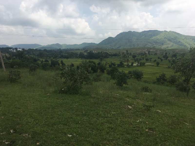Agriculture Land For Sale In Gogunda, Udaipur