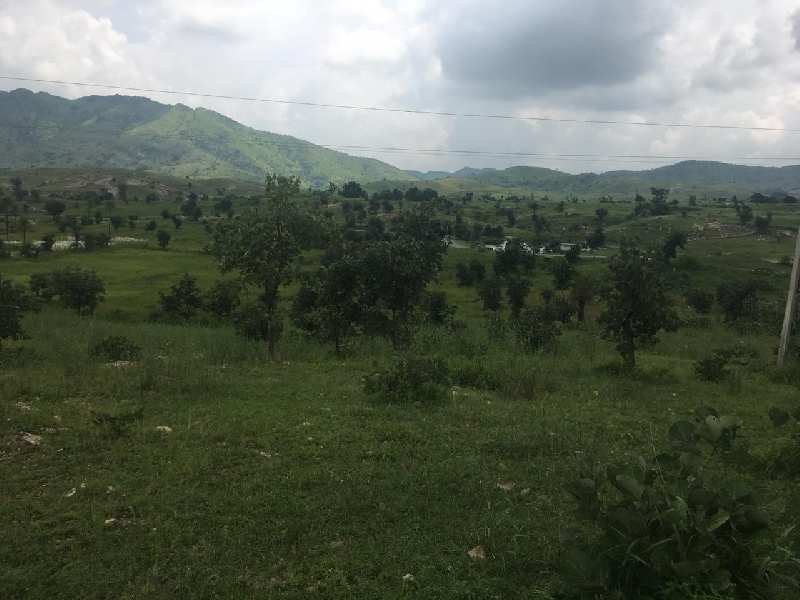 Agriculture Land For Sale In Gogunda, Udaipur