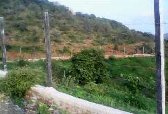 90000 Sq.ft. Agricultural/Farm Land for Sale in Badi, Udaipur