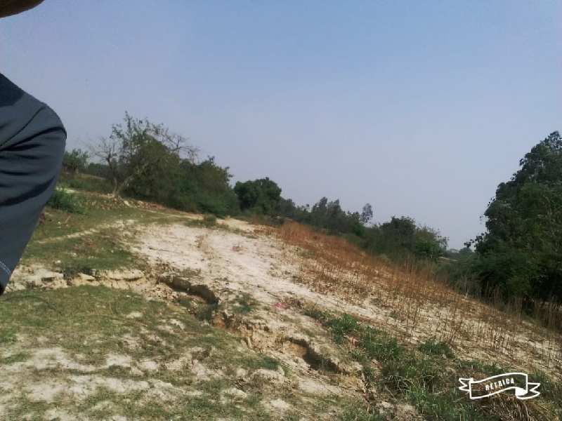 8 Bigha Agricultural/Farm Land for Sale in Mohanlalganj, Lucknow