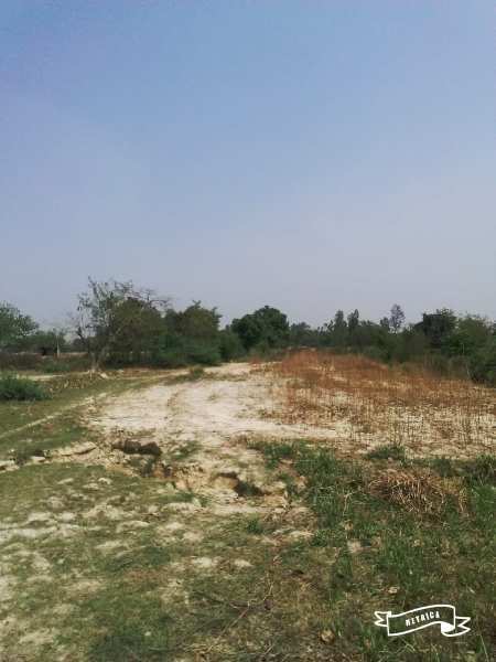 6 Bigha Agricultural/Farm Land for Sale in Mohanlalganj, Lucknow