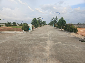 Residential Plot for Sale in Hoskote, Bangalore (1600 Sq.ft.)