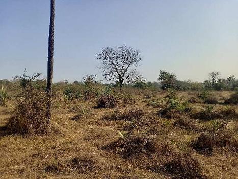 3 Acre Industrial Land / Plot for Sale in Umbergaon, Valsad