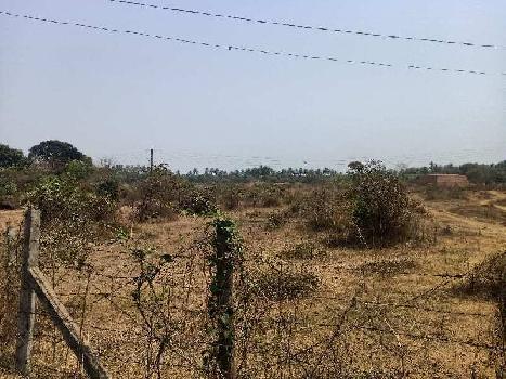 55 Guntha Agricultural/Farm Land for Sale in Umbergaon, Valsad