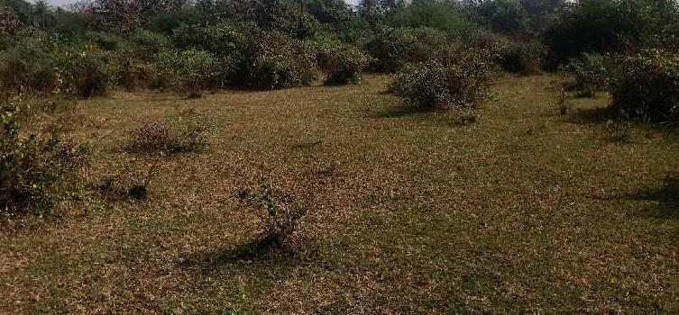 3 Acre Industrial Land / Plot for Sale in Umbergaon, Valsad