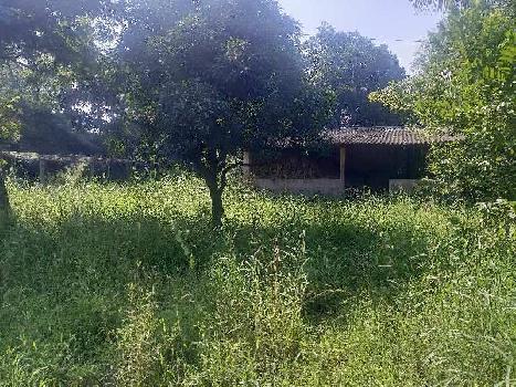 3 Acre Agricultural/Farm Land for Sale in Umbergaon, Valsad