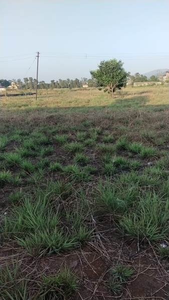 20000 Sq.ft. Agricultural/Farm Land for Rent in Lonavala, Pune