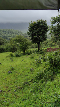 32 Guntha Agricultural/Farm Land for Sale in Pavana Lake, Pune