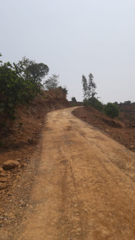 Property for sale in Pavana Lake, Pune
